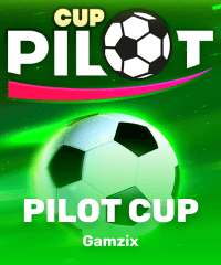 Pilot Cup