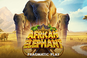 African Elephant